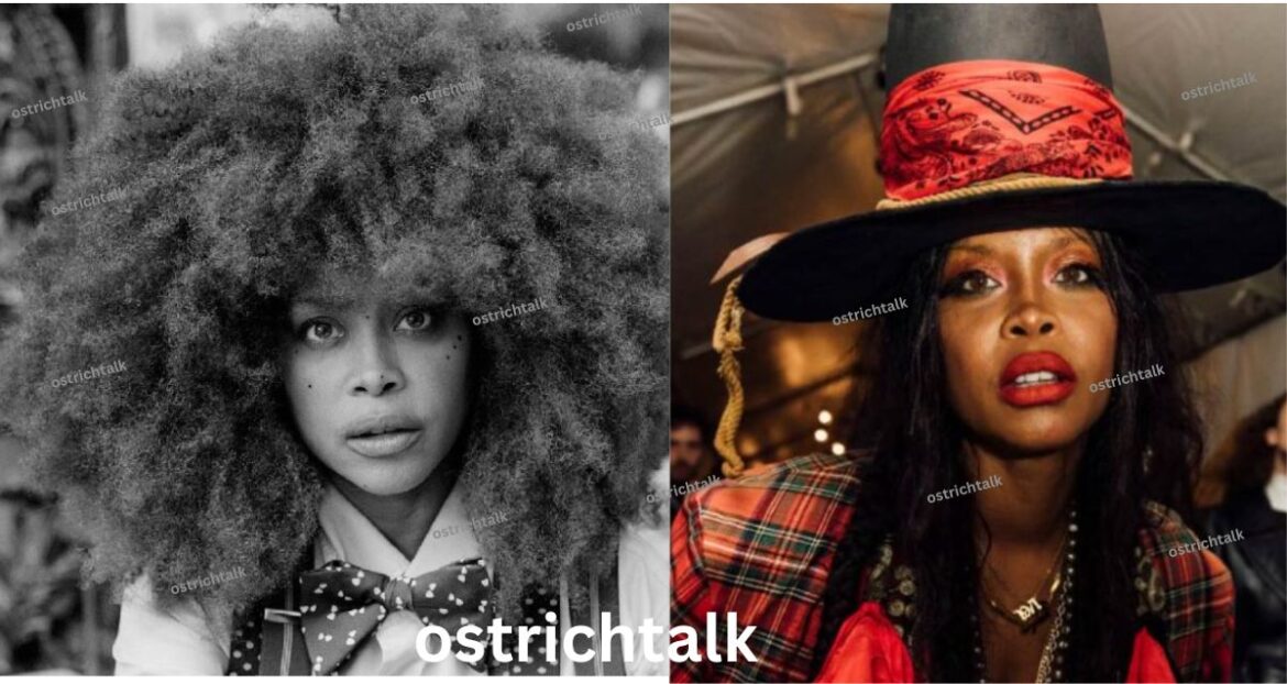 Kolleen Maria Gipson Age: Biography, Family & Net Worth 2026