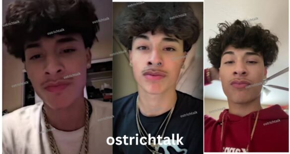 Youcantfindalex: Alex Danyel's Rise to TikTok Fame