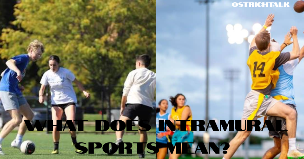 What Does Intramural Sports Mean? A Simple Guide