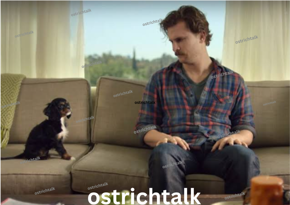 2015 Commercials: Best Super Bowl Ads & Iconic Moments