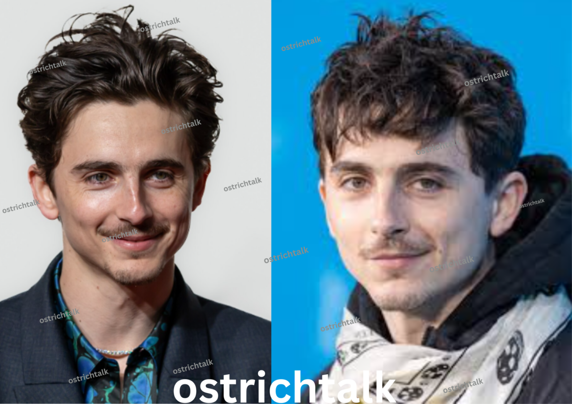 Timothée Chalamet