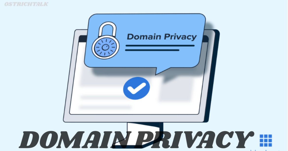 Domain Privacy: 5 Key Benefits to Protect Your Data