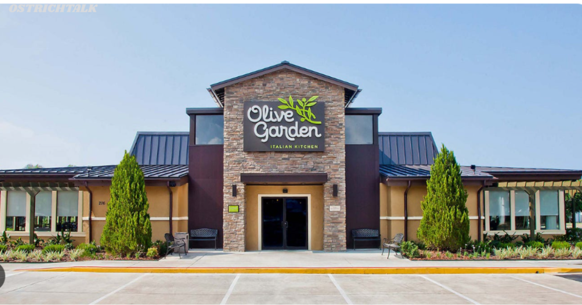Olive Garden Guide: Best Dishes, Deals & Dining Tips