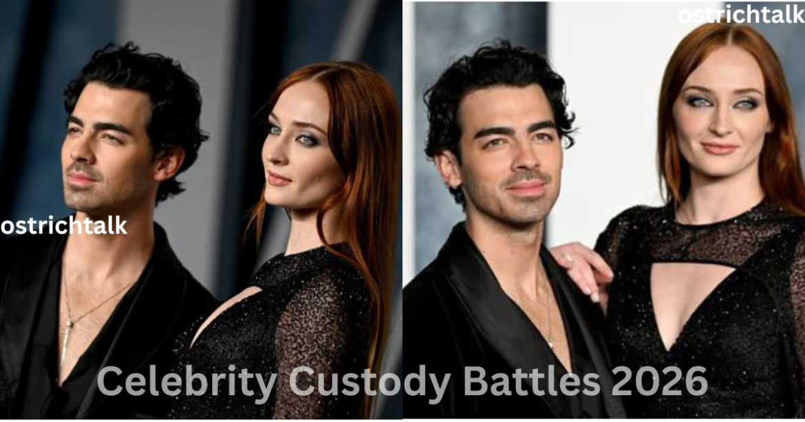 Celebrity Custody Battles 2026: Key Cases Explained
