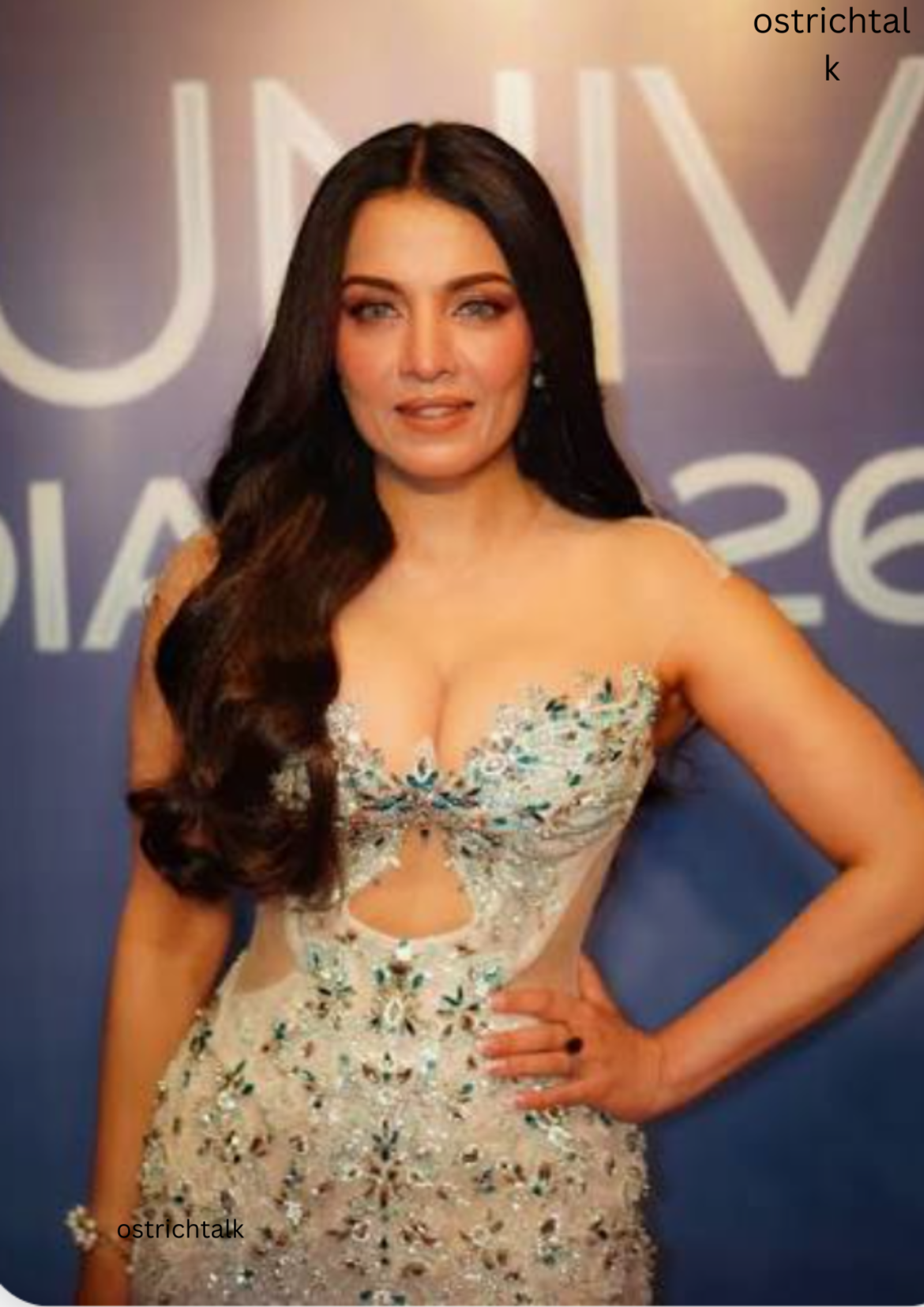 Celina Jaitly: The Untold Story of Her Bollywood Journey