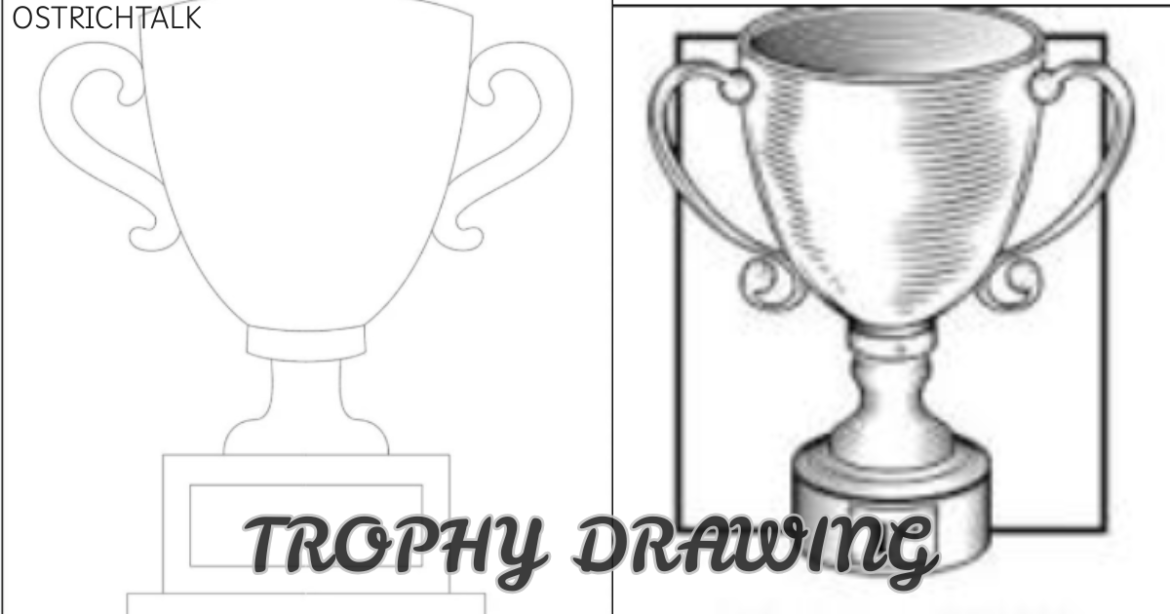 Trophy Drawing: Easy Step-by-Step Guide for Beginners